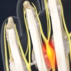 Foot, Ankle & Lower Leg Conditions